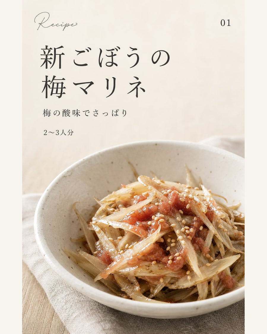 新ごぼうの梅マリネ｜真空保存しやすい作り置きレシピ（STOQジャーナル）